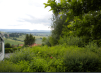 Die herrliche Aussicht aus dem Wohnzimmer von Haus Nr. 67 im Sommer